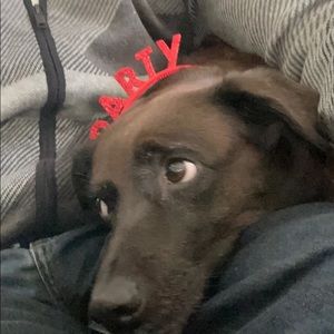 Meet your Posher, Ridvan